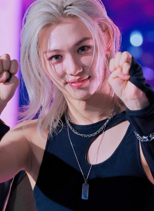 straykids Felix 特大クッション　110cm straykids Felix 特大クッション 110cm CD