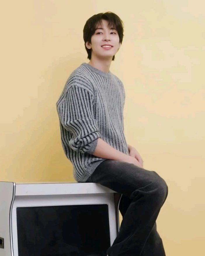 Grey Ribbed Gradient Sweater | Wonwoo - Seventeen - Fashion Chingu