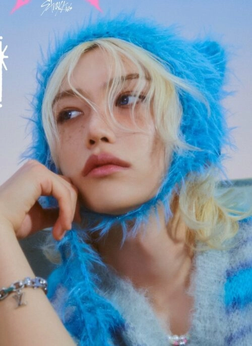 straykids Felix 特大クッション　110cm フィリックス Felix (Stray Kids / ストレイキッズ) グッズ