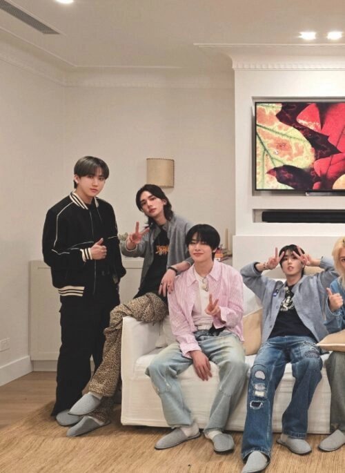 Brown Leopard Pattern Wide Leg Pants | Hyunjin – Stray Kids