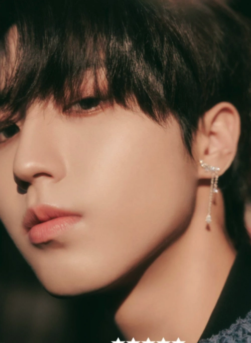 Gold Wing Shaped Dangling Earrings | Jisung – Stray Kids