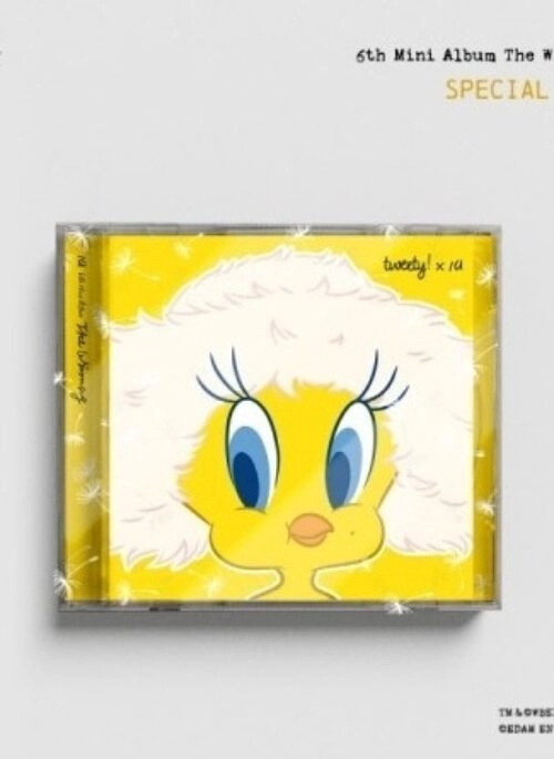 IU Albums - Fashion Chingu