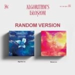 QWER Algorithms Blossom チョダン トレカ ヨントン BUNJANG] QWER Algorithm Blossom Dear My Muse 6th Winner poca