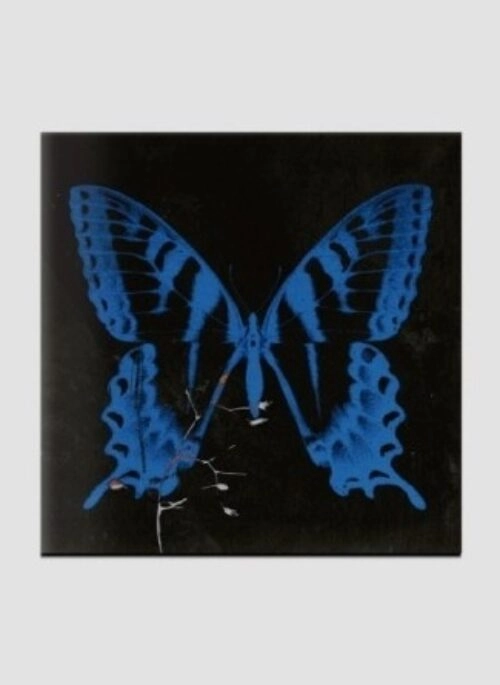 SONG SOHEE 1st Mini Album – 공중무용