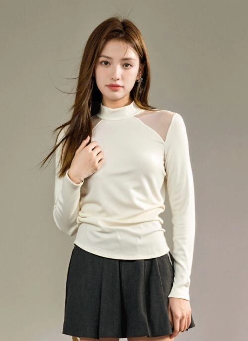 Sheer Long Sleeve High Neck Top