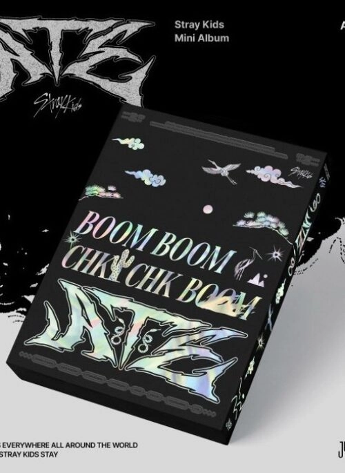 Stray Kids Albums - Fashion Chingu