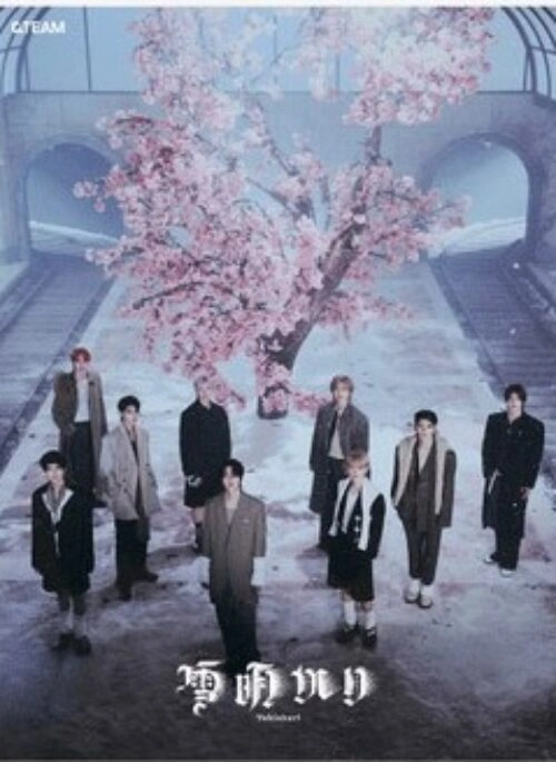 K-POP・アジア &TEAM CD &TEAM JP 2nd Mini Album - First Howling : WE | Limited B