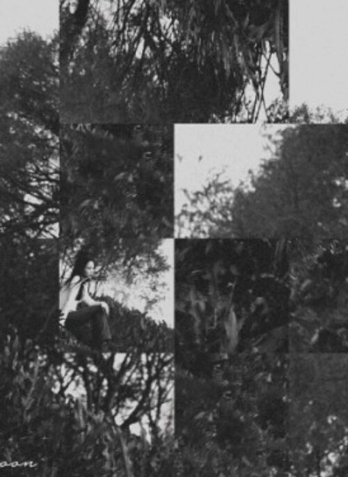 THMOON Album – 와인과 후추통