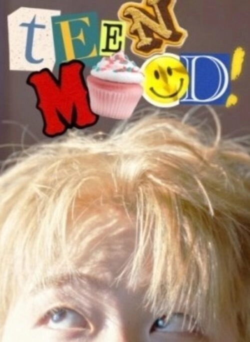 TIMID MOOD Mini Album – TEEN MOOD
