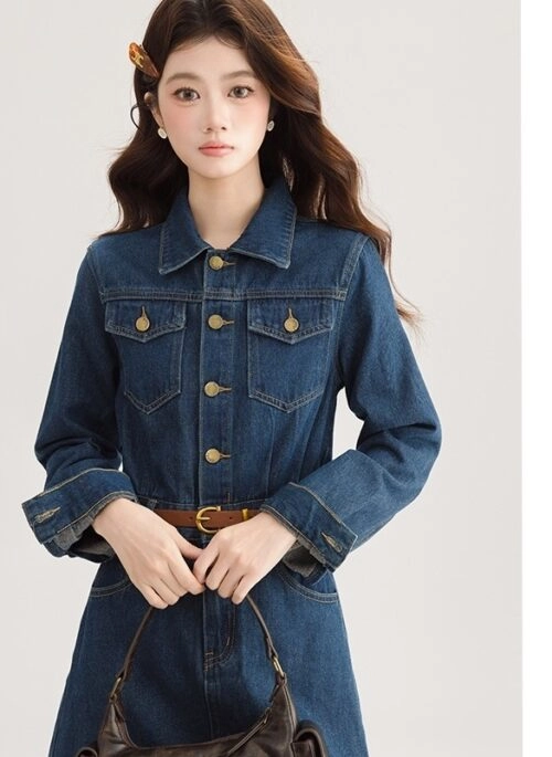 Vintage Chic Denim Dress Midlength Design