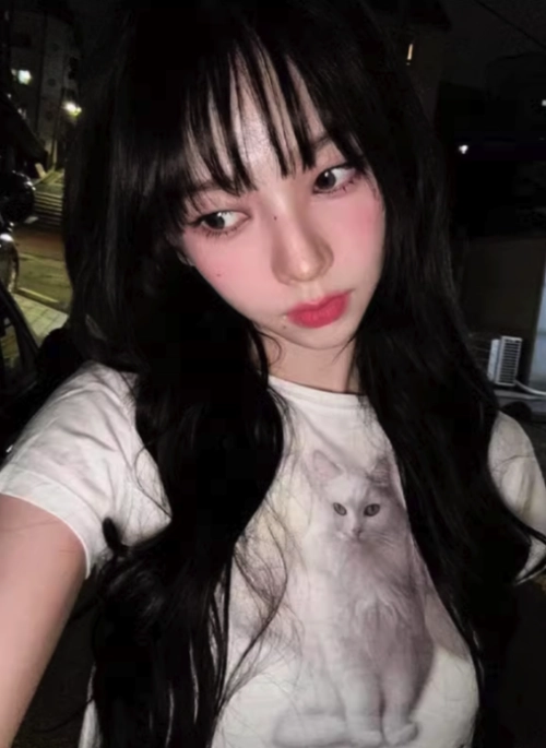 White Angel Cat Print Cropped T-Shirt | Karina – Aespa