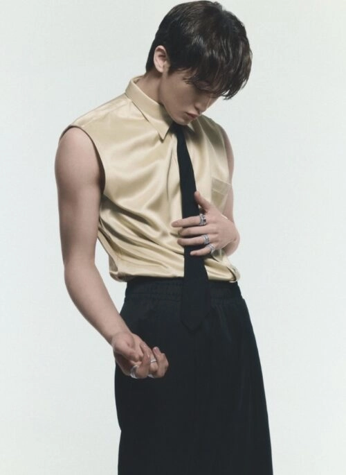 Beige Sleeveless Silk Shirt | Mark – NCT