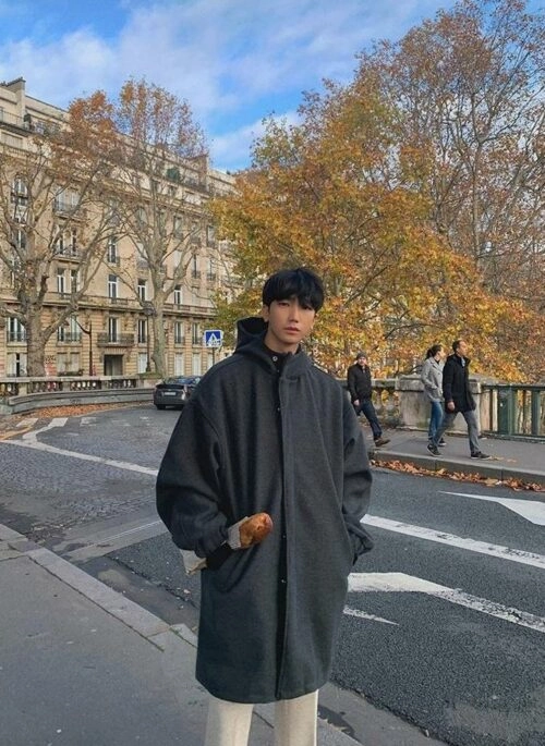 Casual Hooded Wool Coat