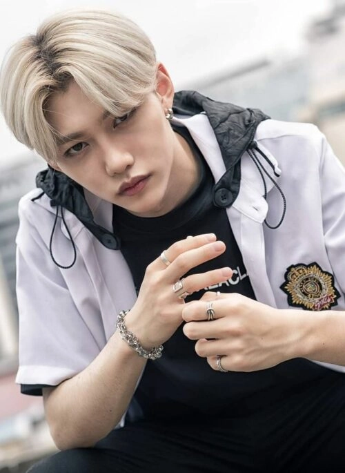 Stray Kids | Felix - Fashion Chingu