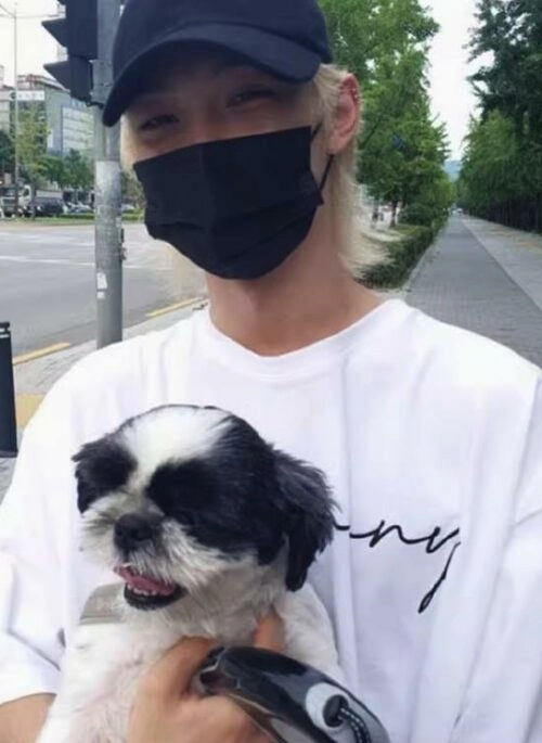 White 20th Century Boy Printed T-Shirt | Felix – Stray Kids