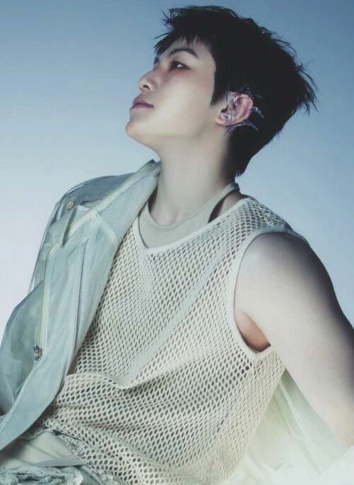 Beige See-Through Mesh Tank Top | Woozi – Seventeen