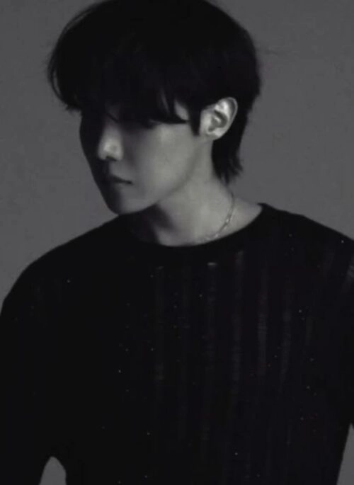 Black Sheer Stripe Long Sleeves Knit Top | J-Hope – BTS