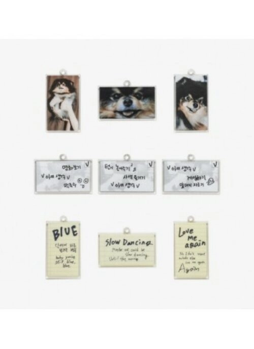 V “LAYOVER” Merch – Keyring Set