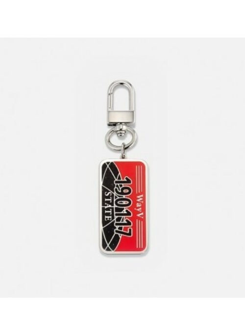 WayV Number Plate Keyring