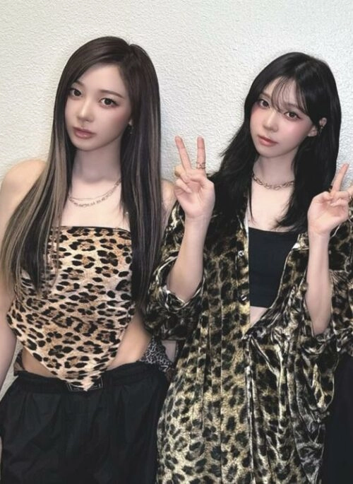 Brown Leopard Print Triangle Top | Giselle - Aespa