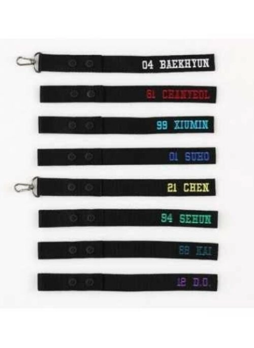 EXO “ElyXiOn” Concert Merch – Name Tag