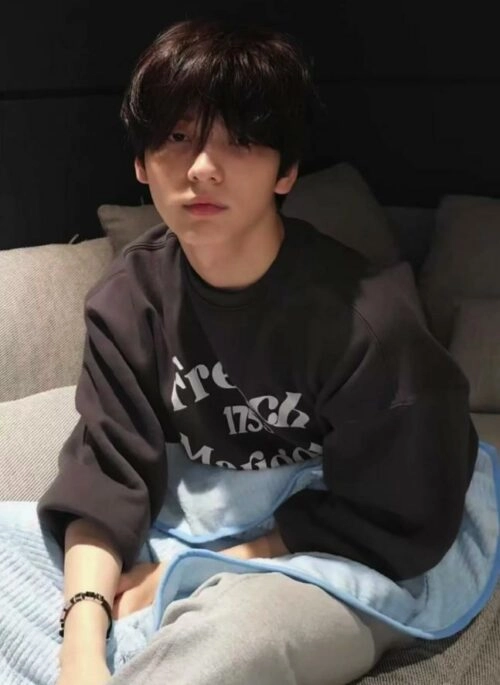 Grey “French Marigold” Graphic Sweatshirt | Soobin – TXT