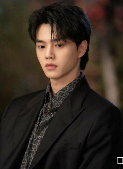 Dark Grey Leopard Pattern Shirt | Jeong Gu Won – My Demon