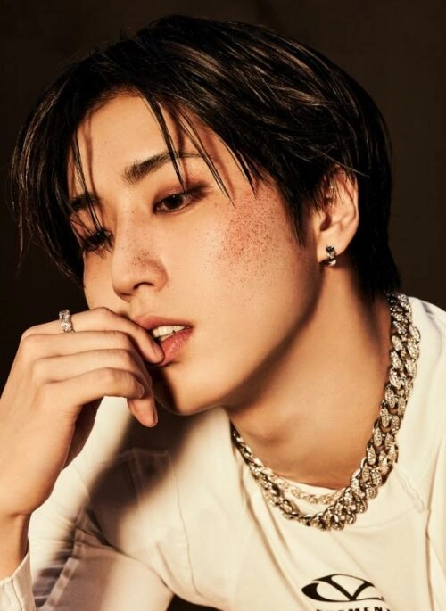 Silver Thick Chain Rhinestones Chain Necklace | Han – Stray Kids