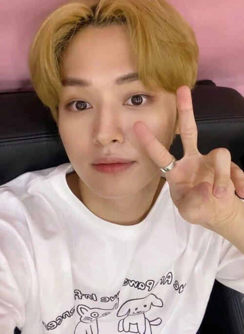 White Pawsitive Influencer Print T-Shirt | LeeKnow – Stray Kids