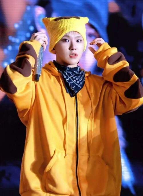Yellow Tiger Pattern Zip-Up Hoodie | Hoshi - Seventeen