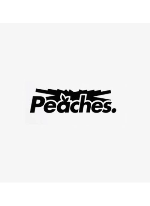LE SSERAFIM x Peaches FIM’S CLUB X EARP EARP Merch – Decal Sticker S