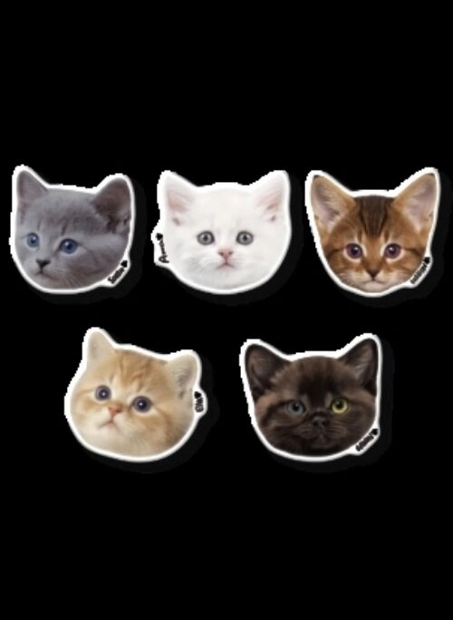 MEOVV 1st EP Merch – Pop Socket